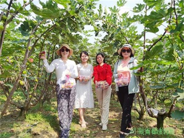 AG旗舰厅(中国游)官方网站