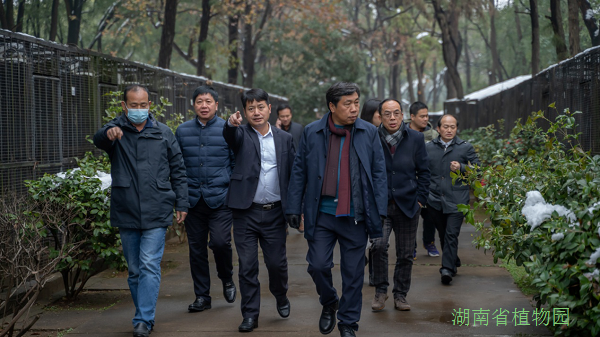 AG旗舰厅(中国游)官方网站