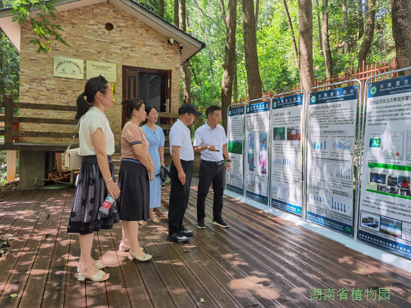 AG旗舰厅(中国游)官方网站