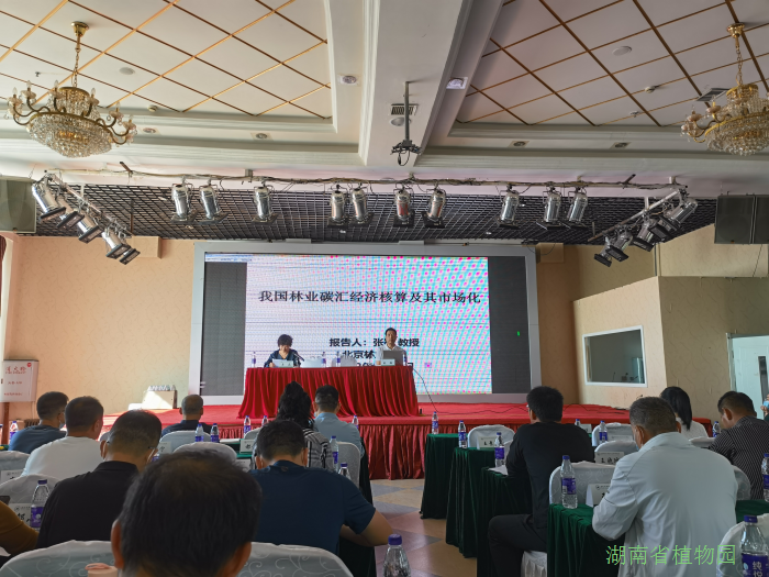 AG旗舰厅(中国游)官方网站
