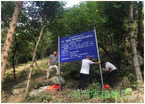 AG旗舰厅(中国游)官方网站