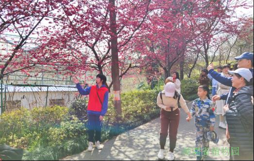 AG旗舰厅(中国游)官方网站