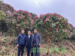 AG旗舰厅(中国游)官方网站
