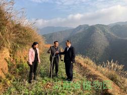 AG旗舰厅(中国游)官方网站