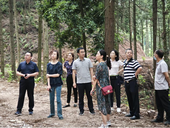 AG旗舰厅(中国游)官方网站