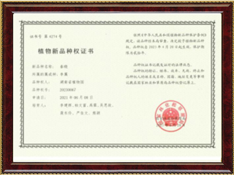 AG旗舰厅(中国游)官方网站