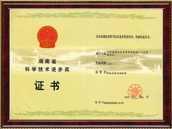 耐寒桉树无性系育种及组培工厂化育苗手艺（省科技前进二等奖）---2005.11.8