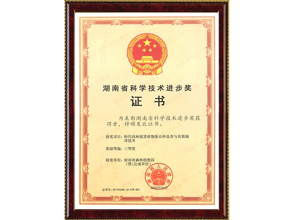 AG旗舰厅(中国游)官方网站
