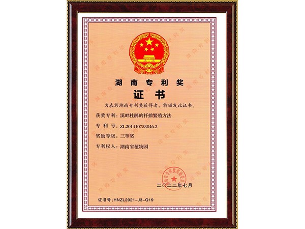 AG旗舰厅(中国游)官方网站