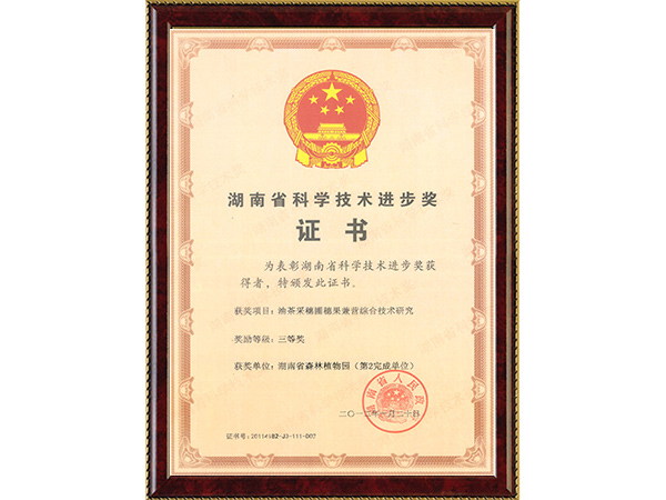 AG旗舰厅(中国游)官方网站