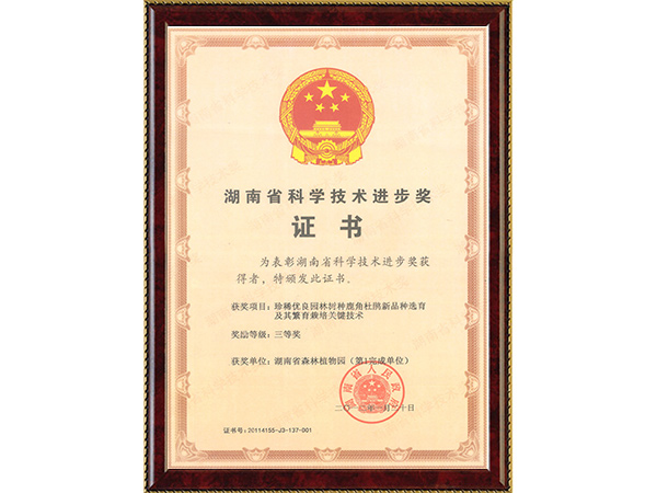 AG旗舰厅(中国游)官方网站