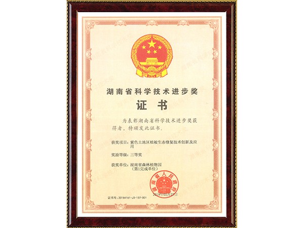 AG旗舰厅(中国游)官方网站