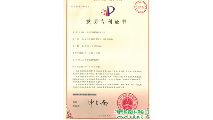 AG旗舰厅(中国游)官方网站