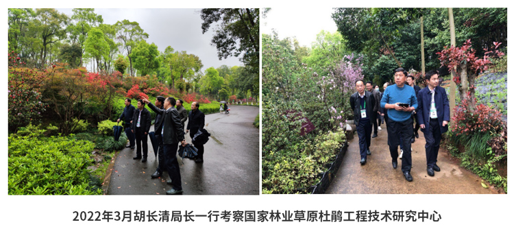 AG旗舰厅(中国游)官方网站