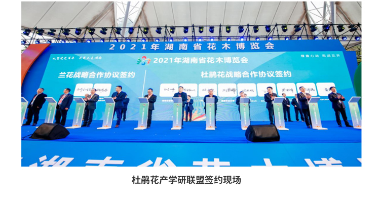 AG旗舰厅(中国游)官方网站