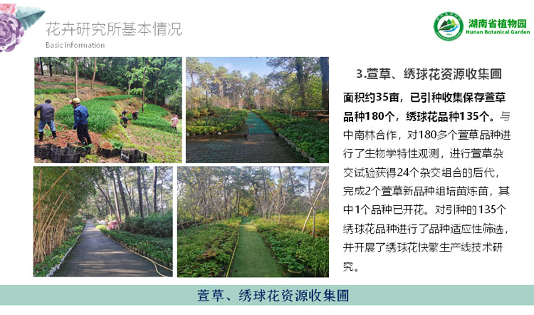 AG旗舰厅(中国游)官方网站