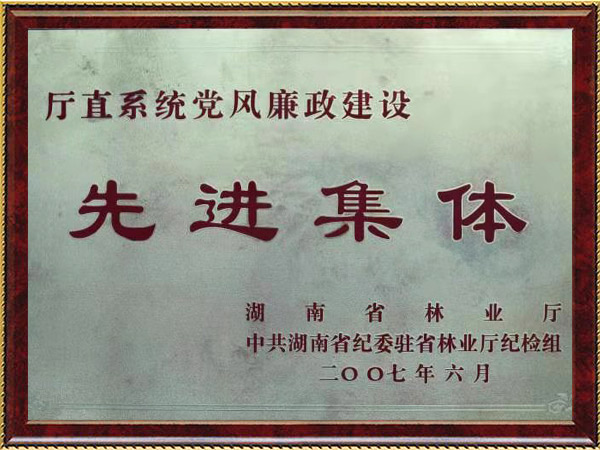 党风廉政建设先进整体2007