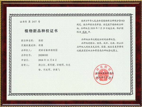 AG旗舰厅(中国游)官方网站