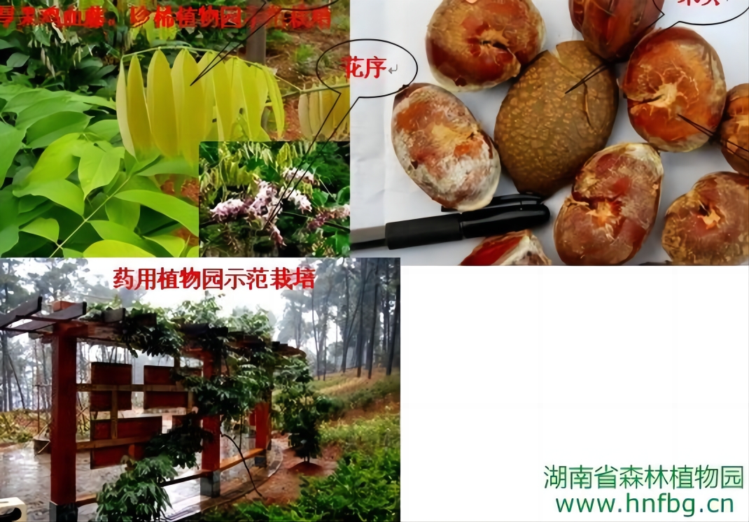 AG旗舰厅(中国游)官方网站