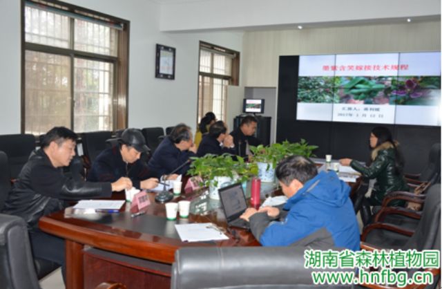 AG旗舰厅(中国游)官方网站