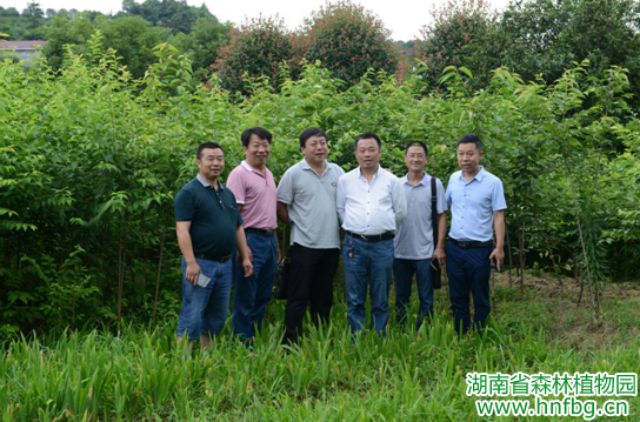 AG旗舰厅(中国游)官方网站