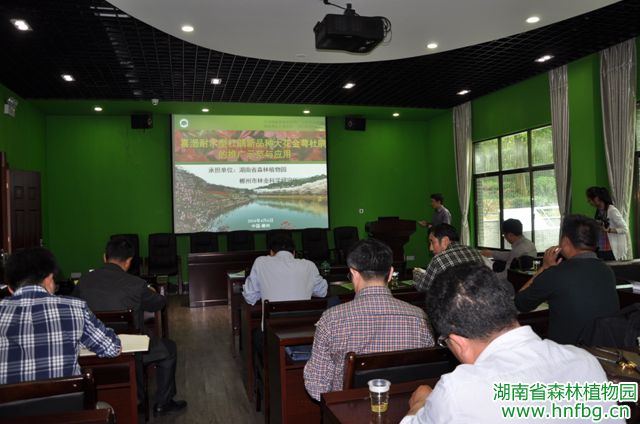 AG旗舰厅(中国游)官方网站