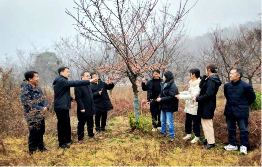 AG旗舰厅(中国游)官方网站