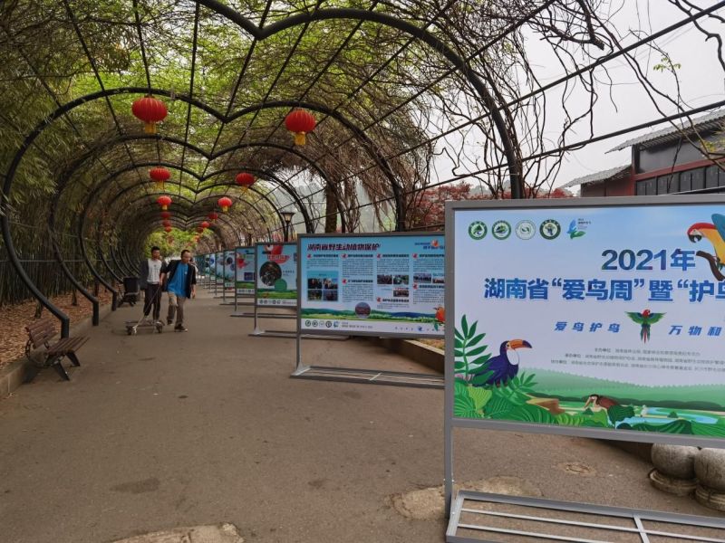 AG旗舰厅(中国游)官方网站