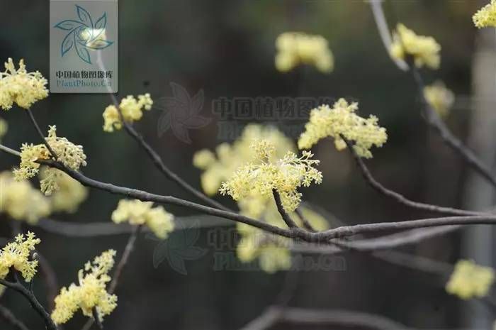 AG旗舰厅(中国游)官方网站