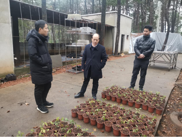 AG旗舰厅(中国游)官方网站