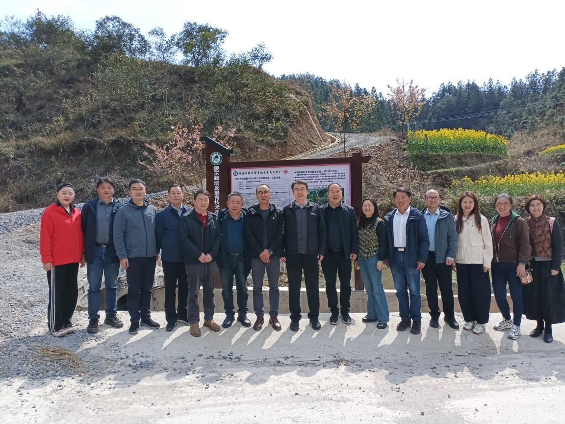 AG旗舰厅(中国游)官方网站