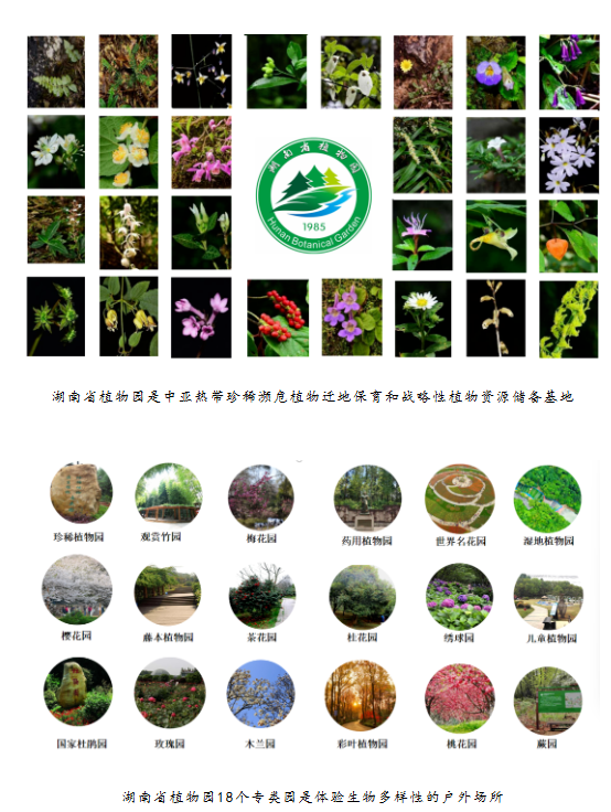 AG旗舰厅(中国游)官方网站