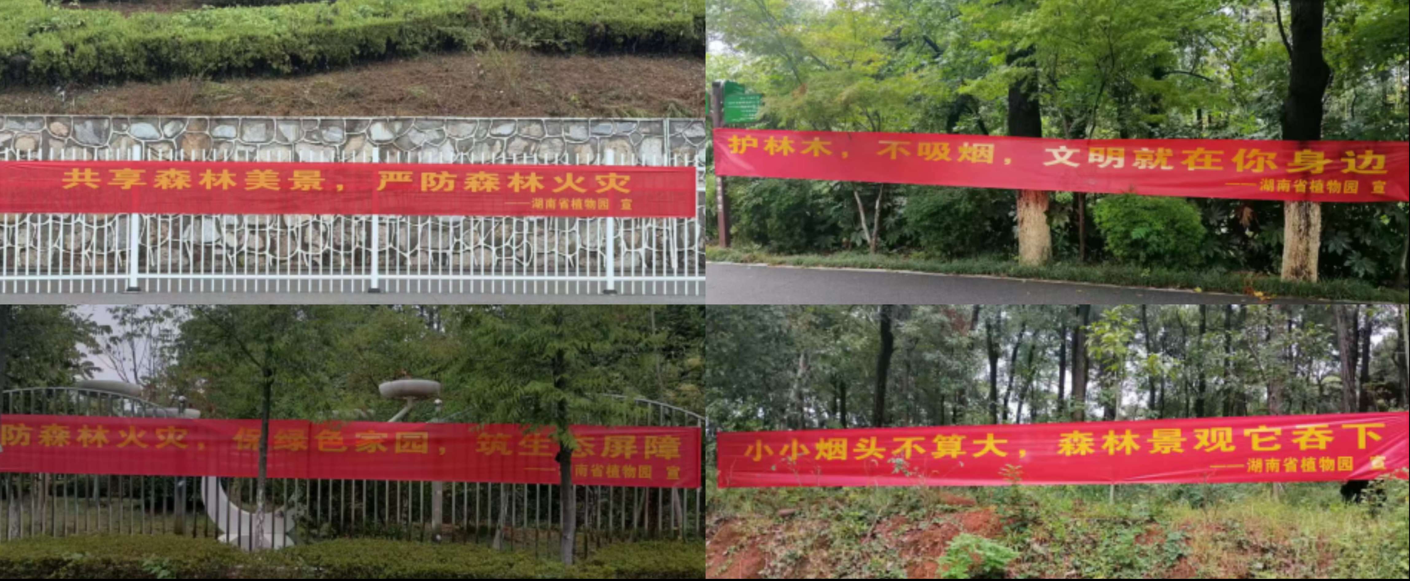 AG旗舰厅(中国游)官方网站