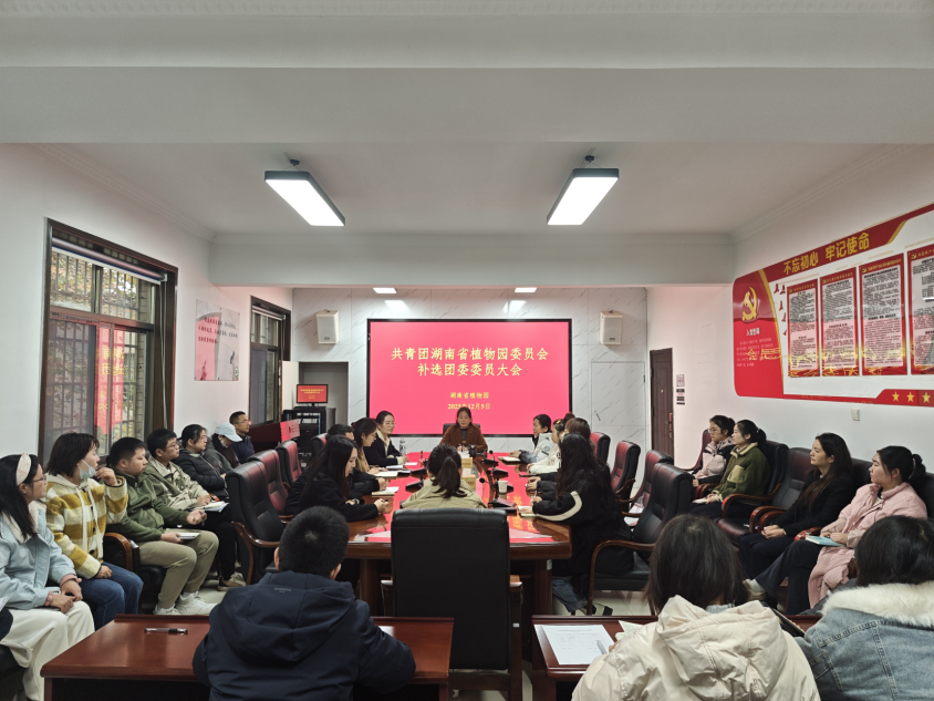AG旗舰厅(中国游)官方网站