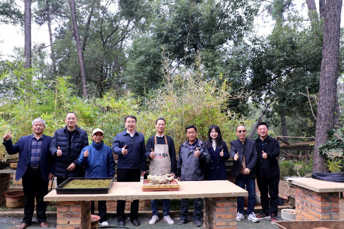 AG旗舰厅(中国游)官方网站