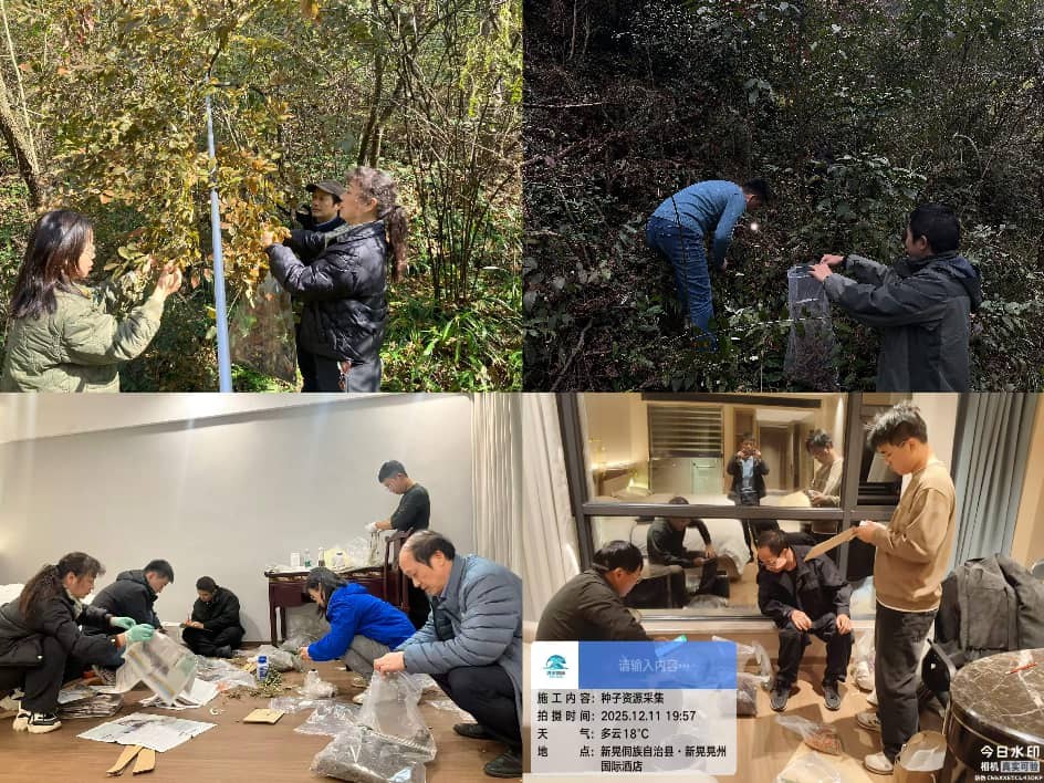 AG旗舰厅(中国游)官方网站