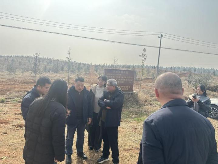 AG旗舰厅(中国游)官方网站