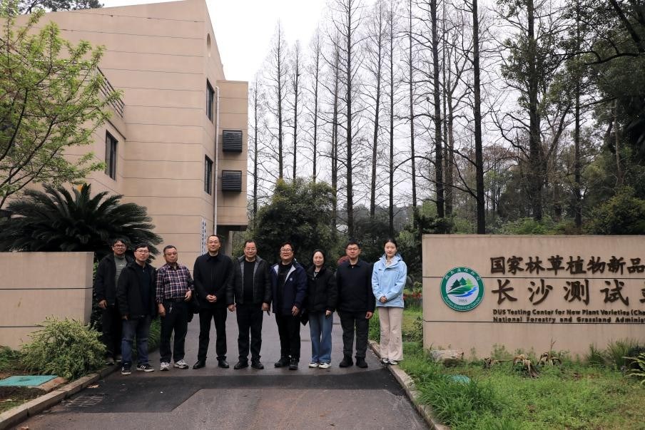 AG旗舰厅(中国游)官方网站