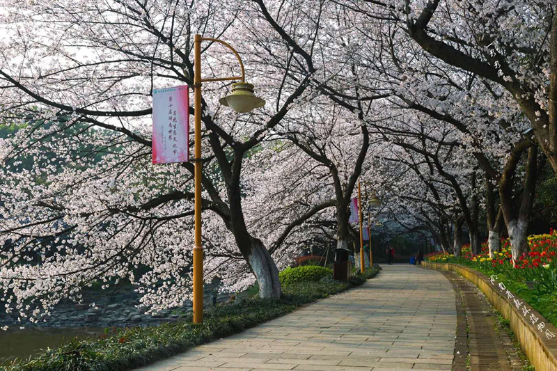 AG旗舰厅(中国游)官方网站