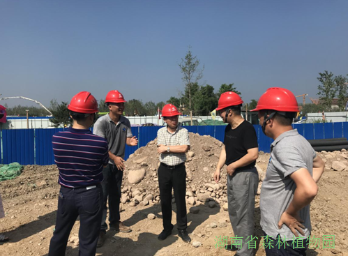 AG旗舰厅(中国游)官方网站