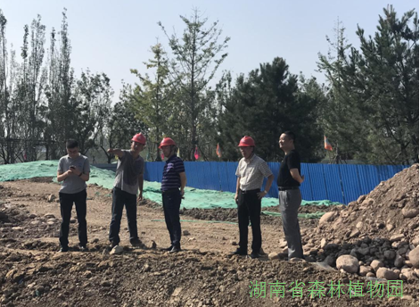 AG旗舰厅(中国游)官方网站