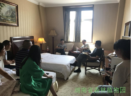 AG旗舰厅(中国游)官方网站