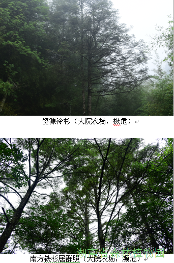 AG旗舰厅(中国游)官方网站