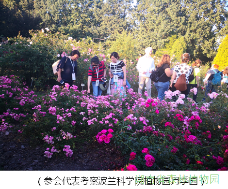 AG旗舰厅(中国游)官方网站