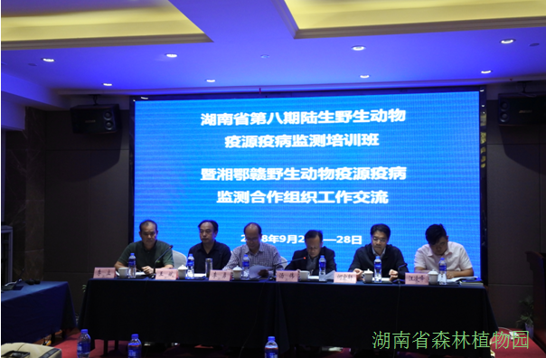 AG旗舰厅(中国游)官方网站