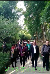 AG旗舰厅(中国游)官方网站