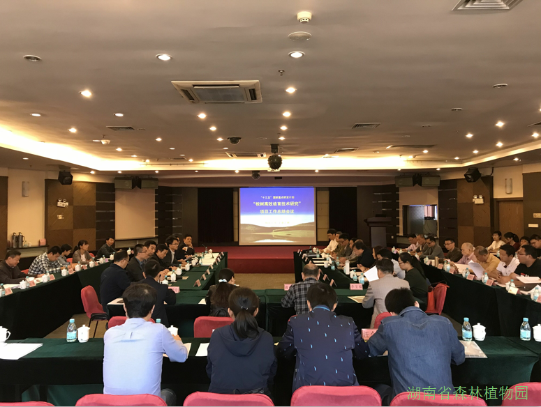 AG旗舰厅(中国游)官方网站