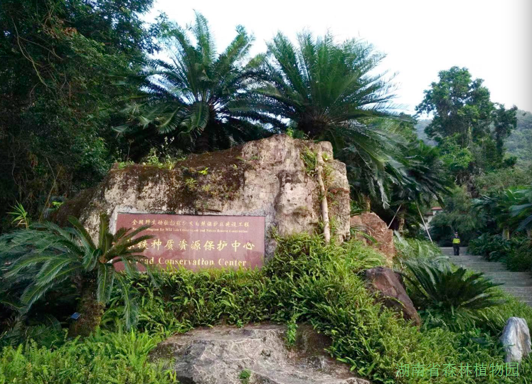 AG旗舰厅(中国游)官方网站