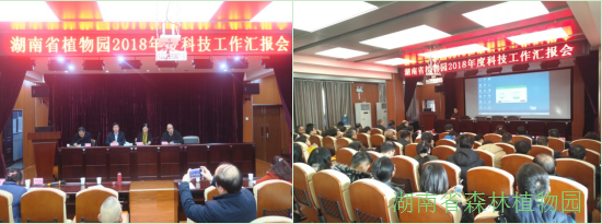 AG旗舰厅(中国游)官方网站