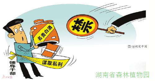 AG旗舰厅(中国游)官方网站